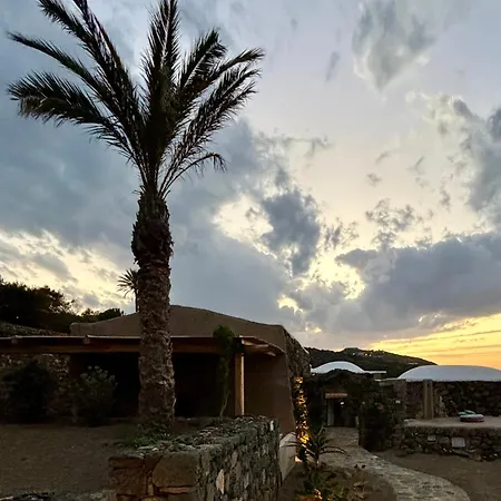 Dammusi Aloe Tracino